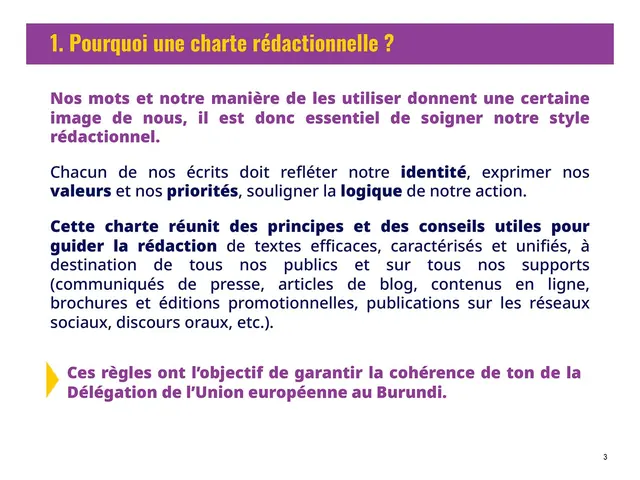 Union européenne — charte rédactionnelle délégation Burundi (3)